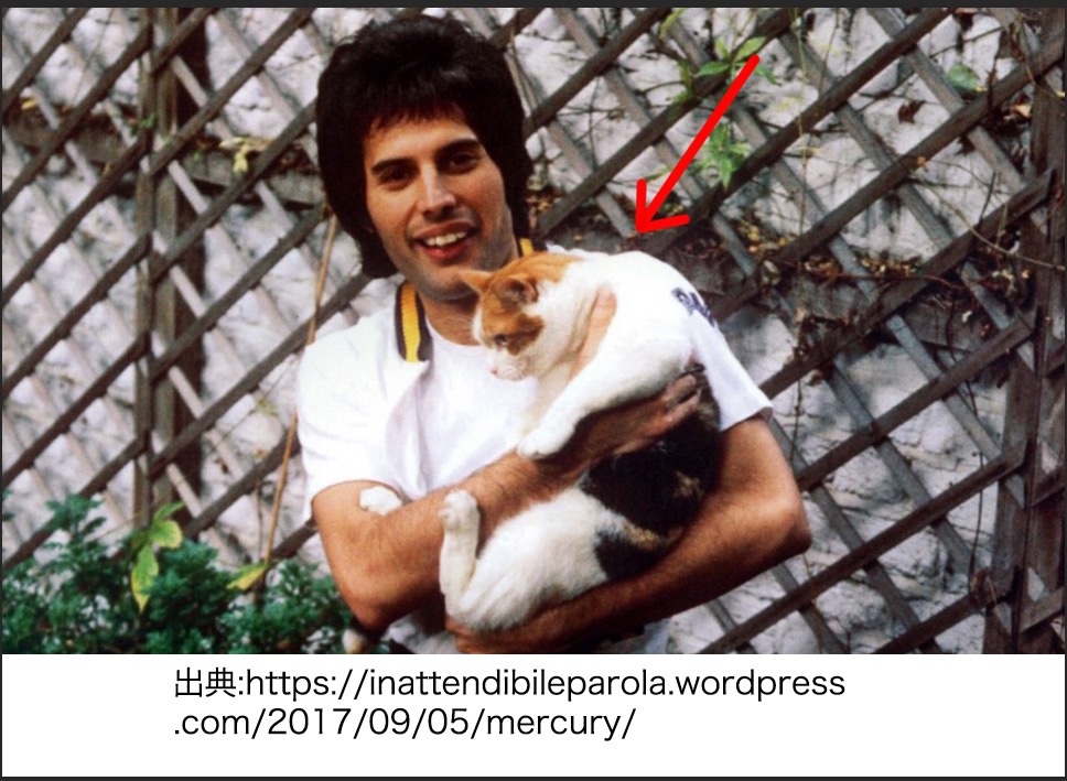 メアリーオースティンの現在と子供は?フレディの遺産で性格とジムとの関係に変化?